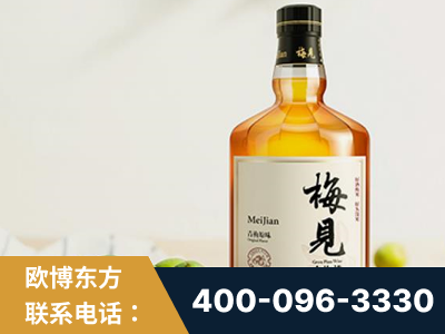 宣威-梅见青梅酒
